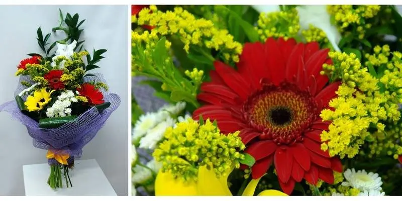 Летние ночи